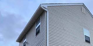 Best Custom Trim and Detailing for Siding  in Woodstock, IL